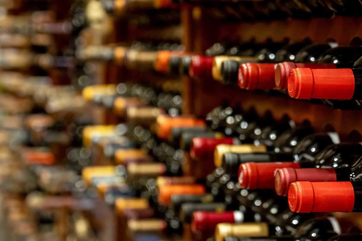 Bianchi e rossi economici: i consigli degli esperti. Come scegliere un buon vino economico a Bologna. Rapporto qualità-prezzo: il segreto del buon bere.